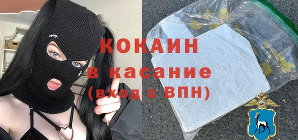 шишки Алзамай