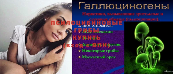 шишки Алзамай