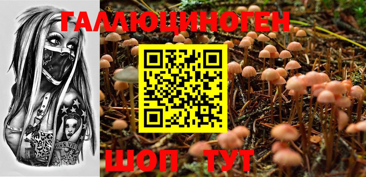 Псилоцибиновые грибы мухоморы Бахчисарай