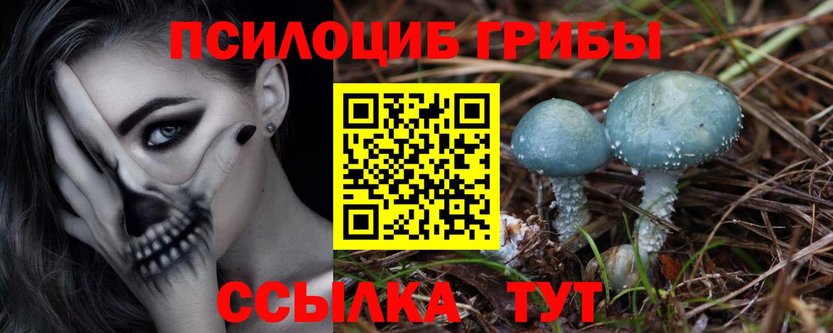 Галлюциногенные грибы мухоморы  Вход с VPN  Бахчисарай  сколько стоит  Галлюциногенные грибы Psilocybe 